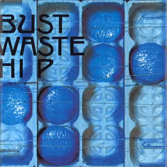 Bust Waste Hip 표지